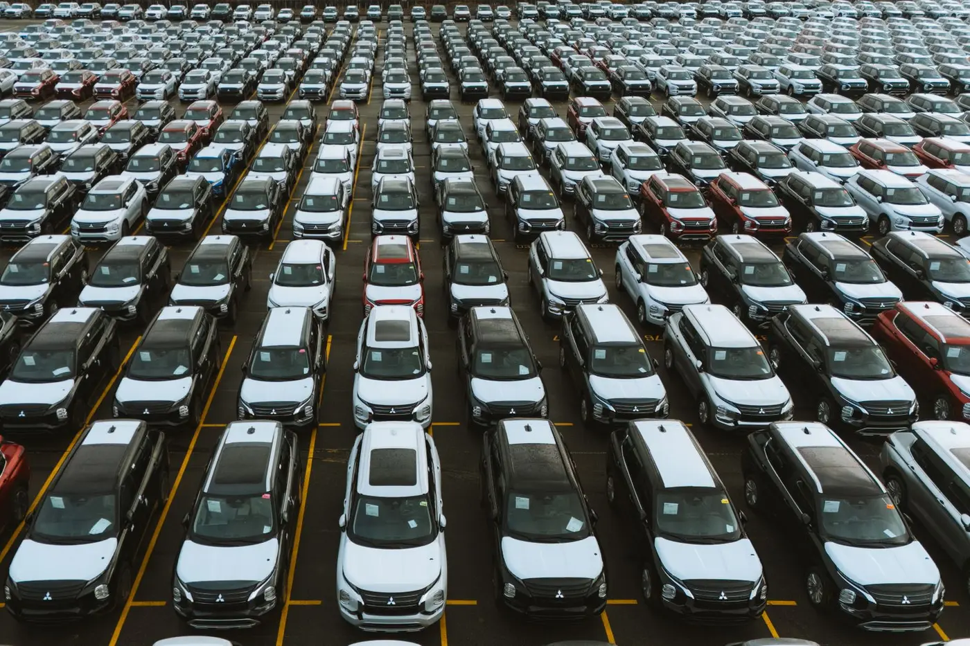 Rows of rental vehicles parked across a lot, the kind of fleet a location page has to describe