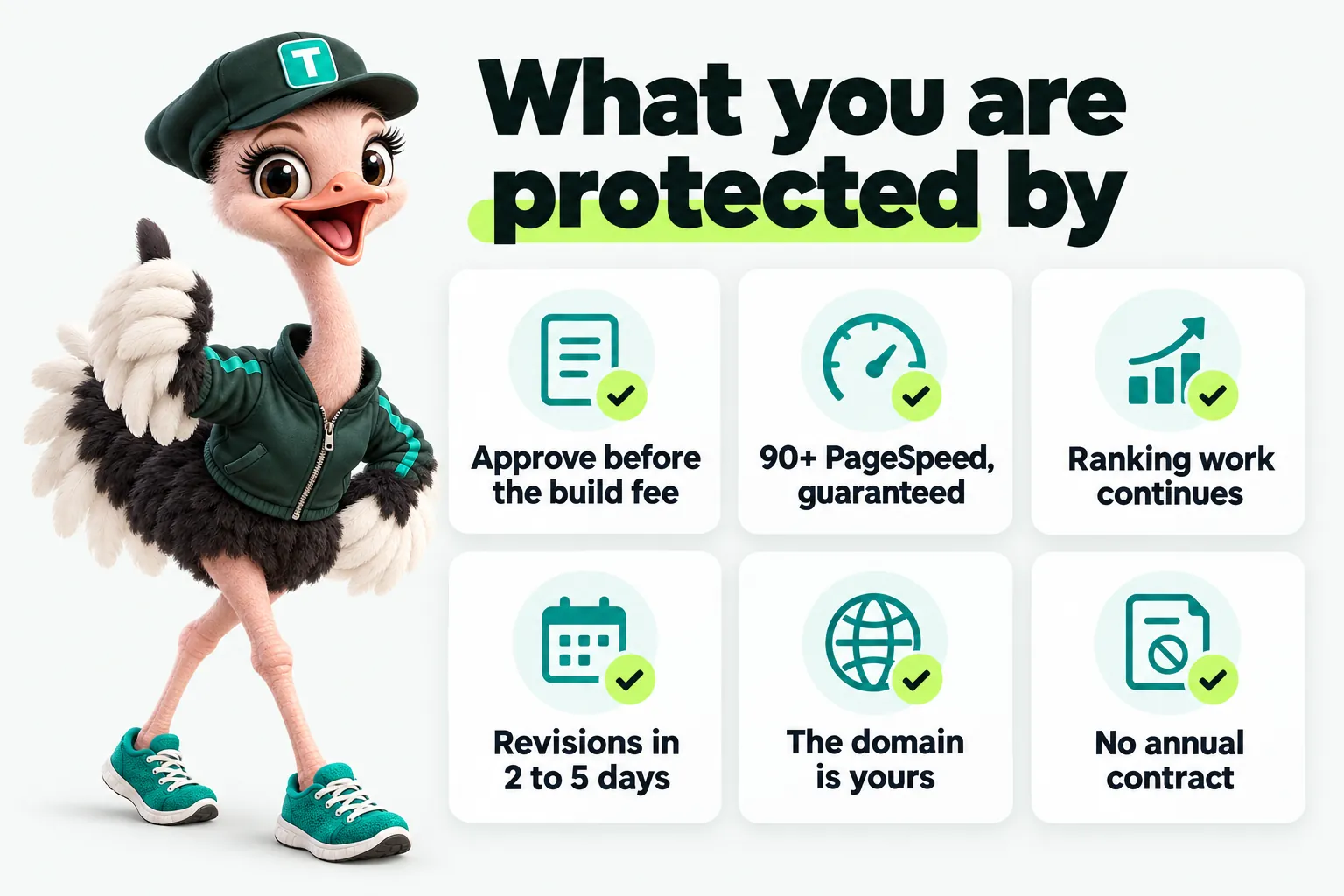 Infographic with Trip the ostrich mascot: What you are protected by. Approve before the build fee. 90+ PageSpeed, guaranteed. Ranking work continues. Revisions in 2 to 5 days. The domain is yours. No annual contract.